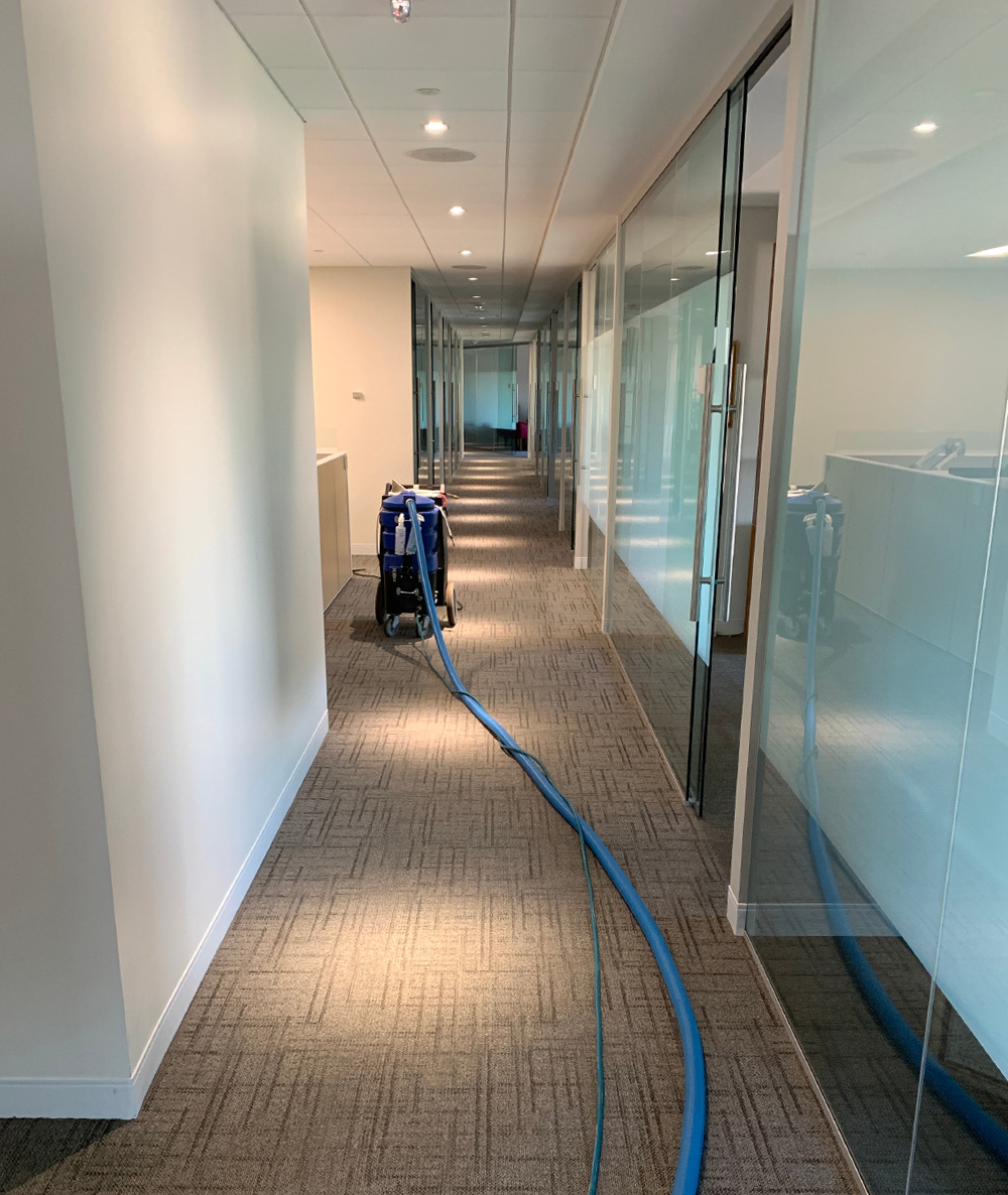 Commercial carpet cleaning